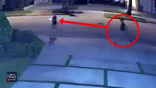 Surveillance Video Catches Alleged Abduction Attempt in Miami