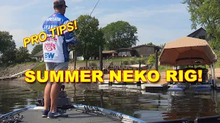 Neko Rig for Summer: What You Need To Know | Bass Fishing