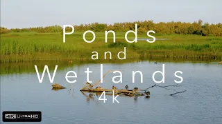 Ponds and Wetlands 4k (Ultra HD)⎜Relaxing Music⎜Earth from Above⎢Trees, Mountains, Lakes and Seas 4k