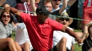Tiger Woods Chip-In at Memorial Tournament