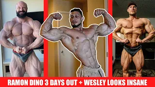 Ramon Dino Posing 3 Days Out + Wesley Vissers Conditioning is INSANE + James Hollingshead Top 10?