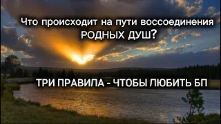 Как воссоединиться близнецовым пламенам и родным душам? #близнецовыепламена #бп