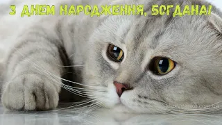 З Днем народження, Богдана! (Котики)