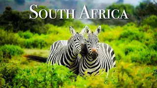 🐒 AMAZING SOUTH AFRICA by DRONE - 4K TRAVEL VIDEO (Drone Video)(4K Ultra HD)