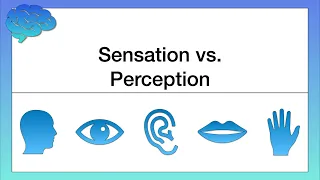 What’s the Difference between Sensation and Perception?