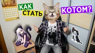 Как Стать Котом?