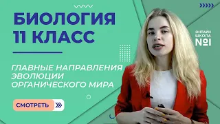 Главные направления эволюции органического мира. Видеоурок 9. Биология 11 класс