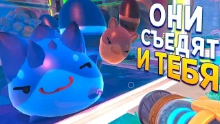 ОНИ МОГУТ СЪЕСТЬ ВСЁ ( Slime Rancher 2 )