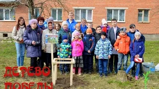 Всероссийская акция "Дерево Победы!". Сланцы.