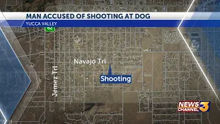 Yucca Valley: Man arrested, accused of shooting at fleeing dog