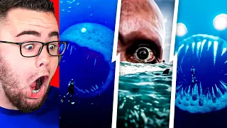 The BLOOP And His SEA MONSTER Friends Are Back! (Reaction)