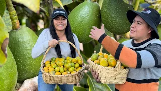 Muchos SOÑAMOS con tener un PARAÍSO como este  “TODO FRESCO” 🥑🥘🥒 Josué y Elie