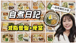 【魚乾】越吃越瘦！自煮日記❺，餐盤+便當的20天！(ft. GAGU沙發)