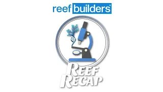 Understanding Common Bacterial Strains in the Reefing Hobby & More - Reef Recap w/Salem Clemens