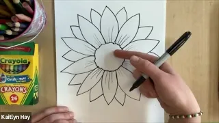 Sunflowers: A Guided Drawing Lesson for Kids