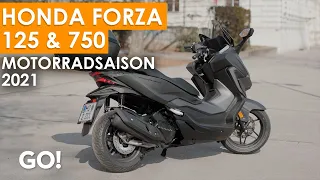 Stressfrei durch den Stadtverkehr mit Hondas Luxusrollern – Honda Forza 125 & Forza 750