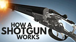 3D Animation: How a SHOTGUN works