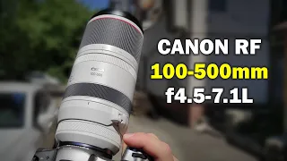 Обзор Canon RF 100-500mm f4.5-7.1L