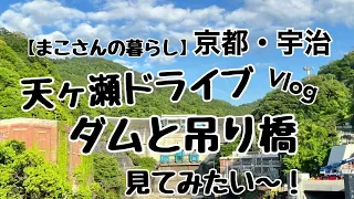 【まこさんドライブへ行く！】京都は宇治の天ヶ瀬ダムと天ヶ瀬吊り橋を見に行った！#宇治市#京都 #kyoto #ダム＃吊り橋#天ヶ瀬ダム @makomako_kurashi