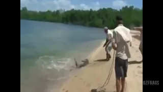 Crocodile Attacks Australian Fisherman