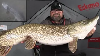 Found a BIG PIKE! | Ice Fishing Underwater Camera!