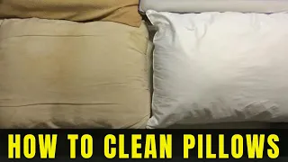 How to clean Pee or Sweat Stained Pillow