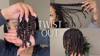 TWIST OUT | Using Products from TGIN