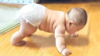 Try Not To Laugh : Cutest Chubby Babies will Make Your Heart Melt | Funny Baby Videos