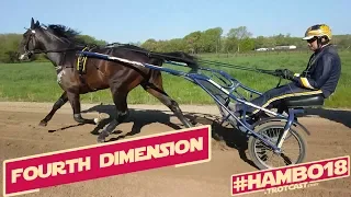 #Hambo18 A TrotCast Story: Fourth Dimension - Melander Stable