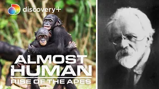 Human-Ape Hybrid?! Soviet Scientist Wanted to do What? | Almost Human: Rise of the Apes | discovery+