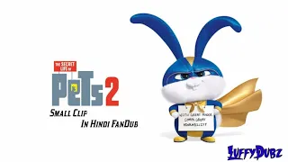 Captain Snowball - The Secret Life of Pets 2 Hindi FanDub