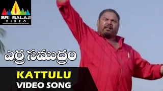 Erra Samudram Songs | Kattulu Doosuku Poyina Video Song | Sri Balaji Video