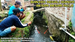 EDAN.! Mancing di Selokan Belakang Rumah Warga ikanya Besar Besar #LM39