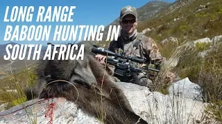 Long Range Baboon Hunting | South Africa