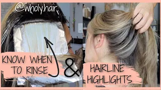 PARTIAL HIGHLIGHT w/ HAIRLINE FOILS & BROW TINT //Wholy Hair