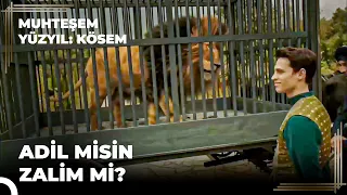 Giray Kardeşlerden Manidar Hediye | Muhteşem Yüzyıl: Kösem