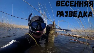 Подводная охота весной на водохранилище, прозрак космос !