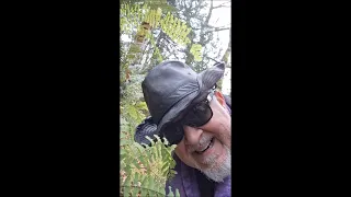 The Bigfoot Expert : Lookin' for the Bones of Billy Jack at infamous "Sasquatch Void" Deep woods