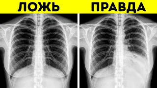 С головы до пят: невероятные секреты и мифы о человеческом теле