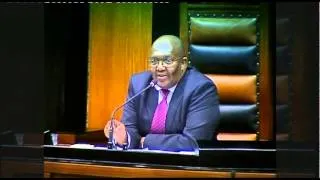 Parliament Plenary: EFF calls Deputy of Defence a "liar"