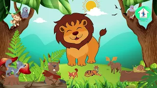 معلومات عن الاسد الحيوانات البرية للأطفال - حيوانات الغابة-Jungle animals