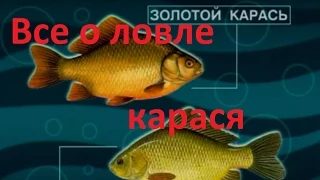Диалоги о рыбалке - Выпуск 215 - Все о  ловле карася.