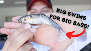 3 Ways To Rig Big Swim Plastics For Monster Bass!