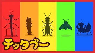 隠れている虫さんの正体が分かるかな❓| 昆虫の歌 | 自然を学ぼう| キッズソング | 人気童謡 | #チッタブー