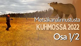 Metsäkanalinnustusta Kuhmossa 2022 | Karhu kohtaaminen metsällä | Osa 1/2