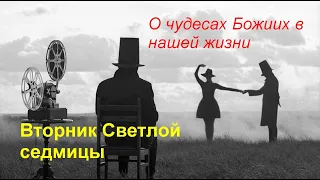 Вторник Светлой седмицы/ Чудеса Божии