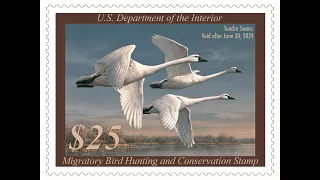 2023 Federal Duck Stamp Art Contest - Day 1