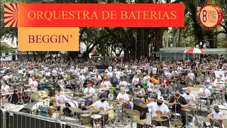 BEGGIN' - Måneskin - 8a Orquestra de Baterias de Florianópolis (2021)
