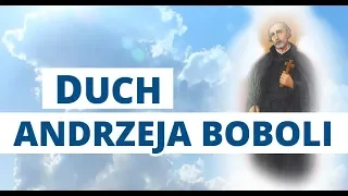 Objawienia św. Andrzeja Boboli - Sanktuarium w Strachocinie