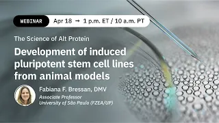 Dr. Fabiana Bressan: Development of induced pluripotent stem cell lines from animal models